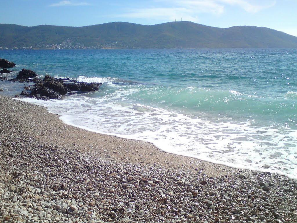 Wavedance Accommodation Σαλαμίνα Εξωτερικό φωτογραφία