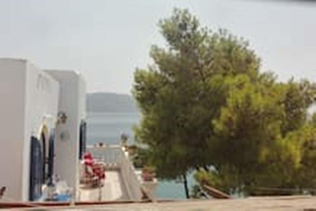 Wavedance Accommodation Σαλαμίνα Εξωτερικό φωτογραφία