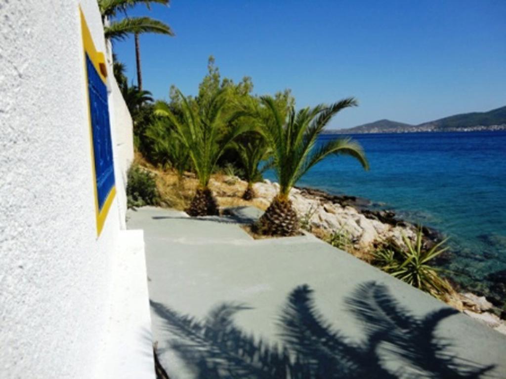 Wavedance Accommodation Σαλαμίνα Εξωτερικό φωτογραφία